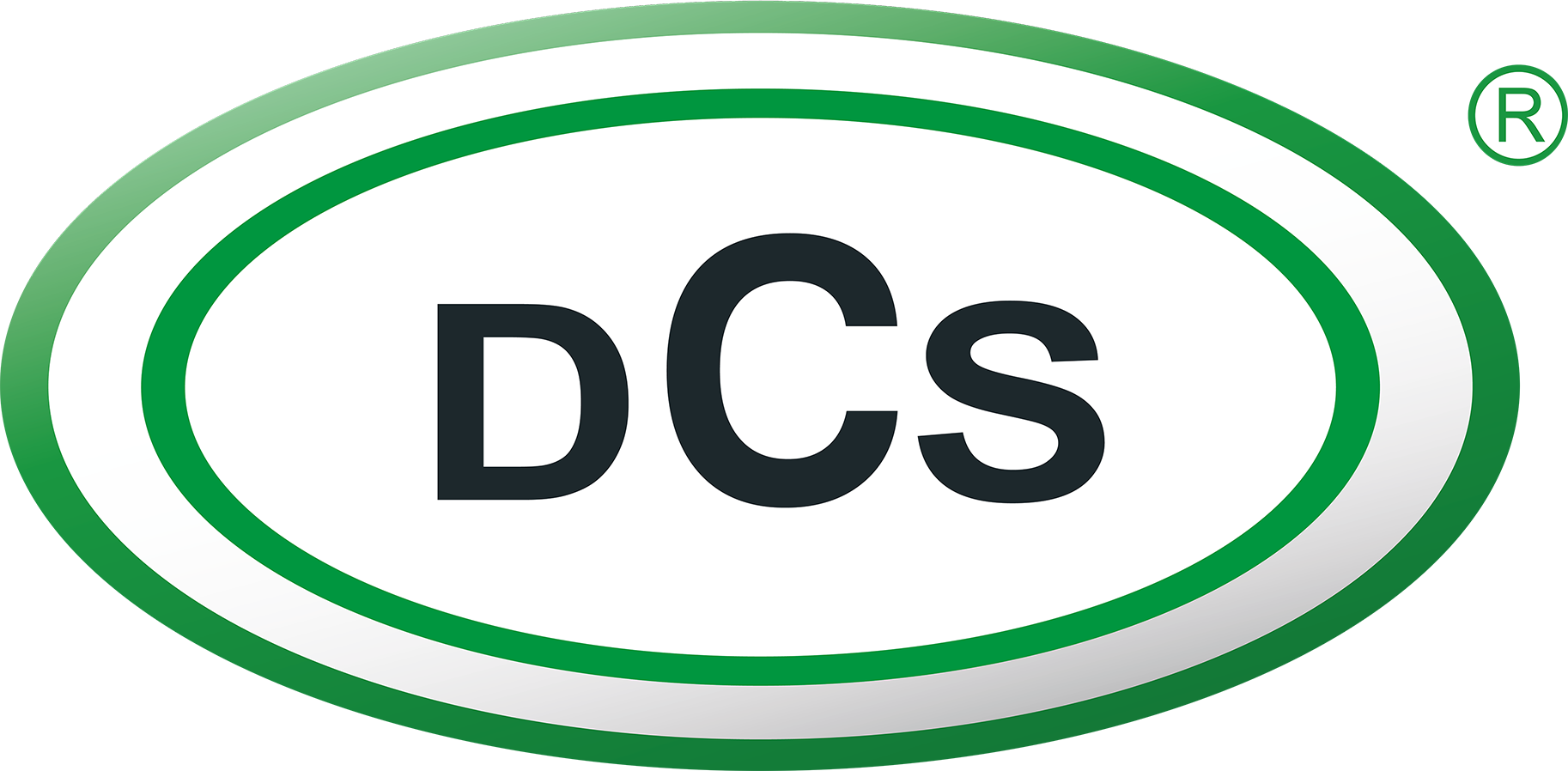 DCS Touristik