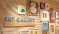 AIDAnova Art Gallery