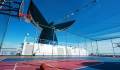Carnival Dream Basketball