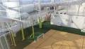 Sports deck