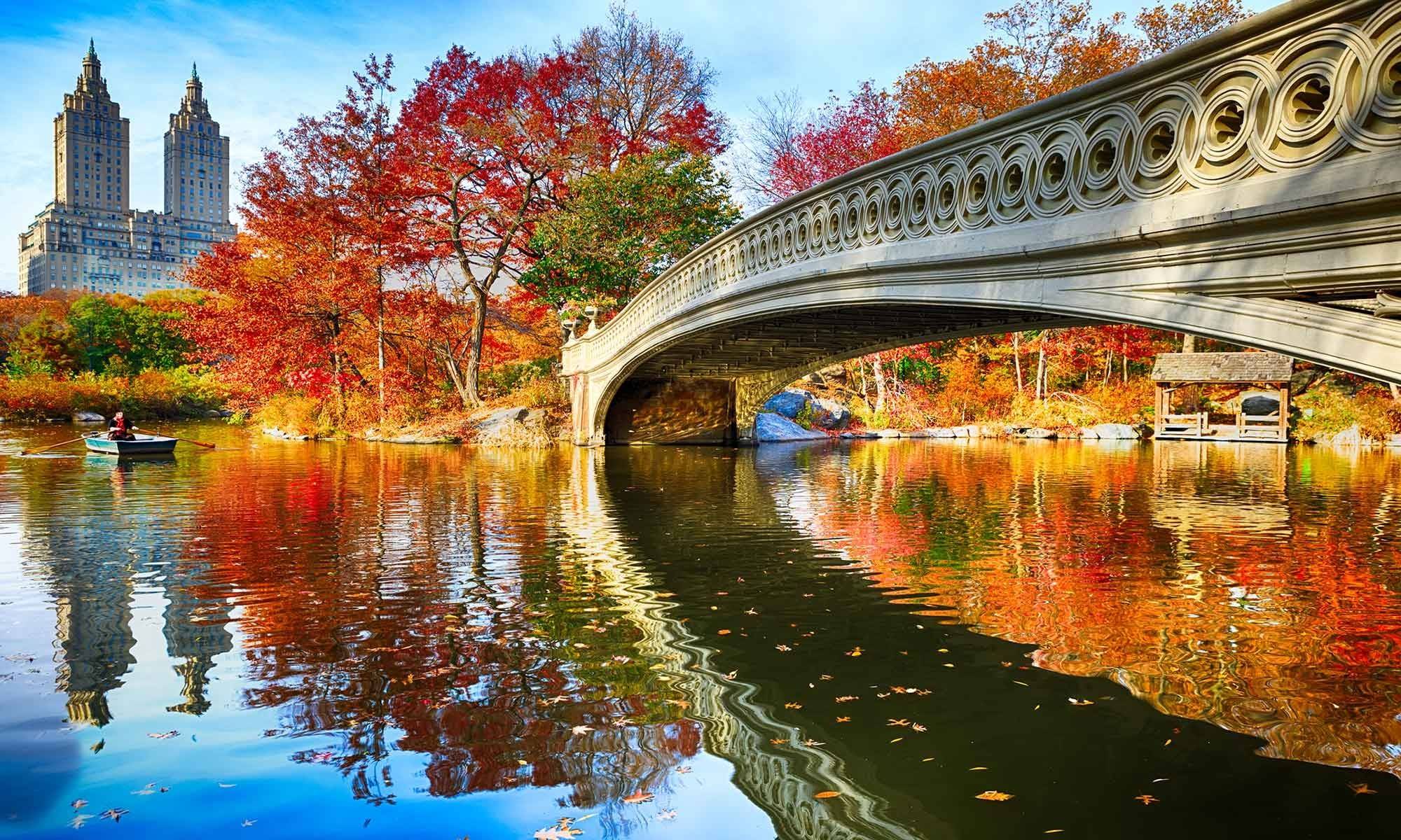 new-york-usa-waehrend-des-indian-summ.4i87hqte.jpg