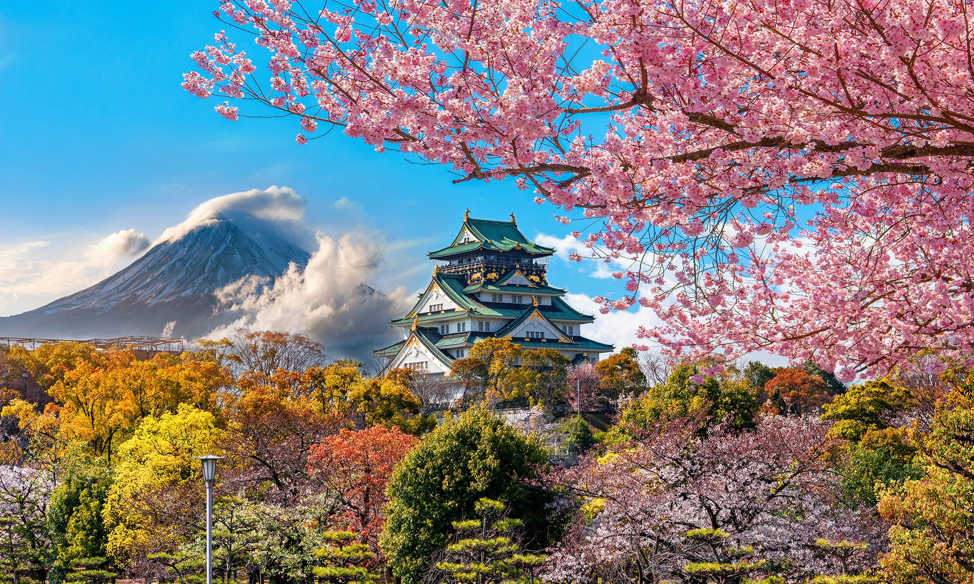 osaka-kirschblueten-japan.bsivlbes.jpg