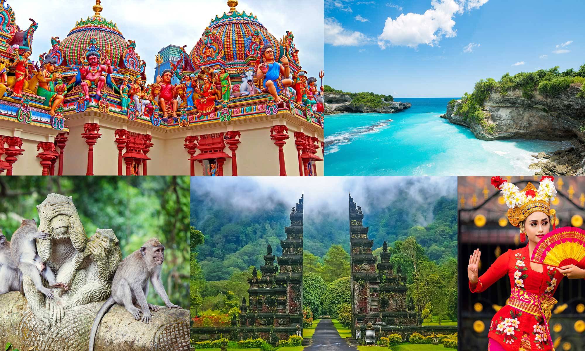 pck1366-collage.ap9ixdxo.jpg