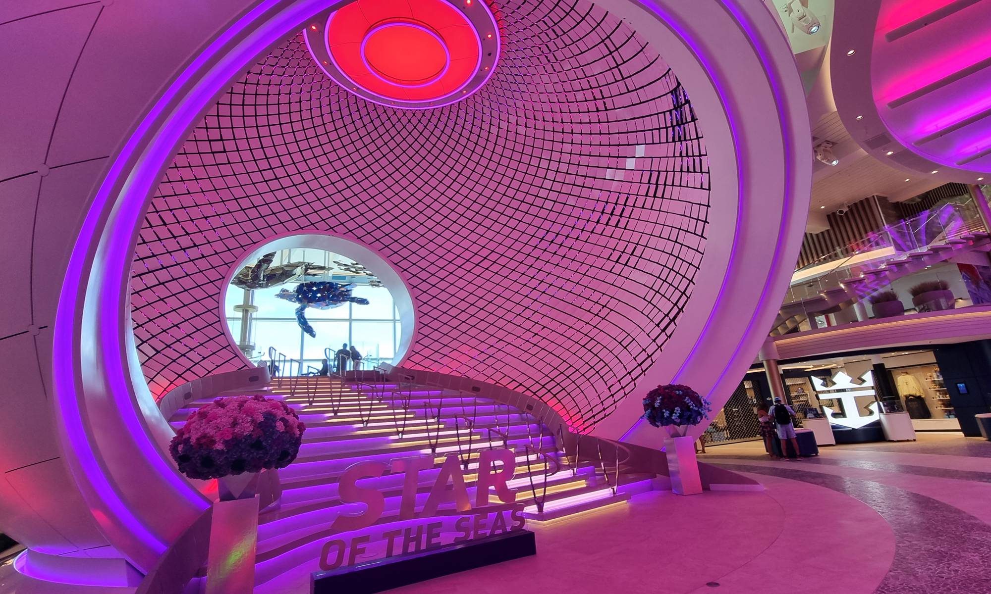 View Star of the Seas: 