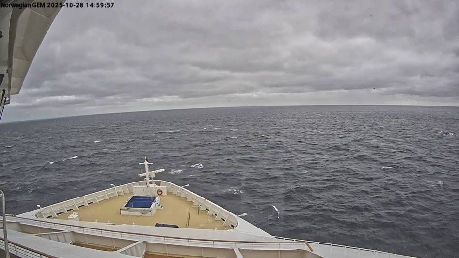 Aktuelle Schiffsansicht